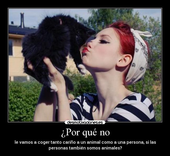 carteles pregunta desmotivaciones