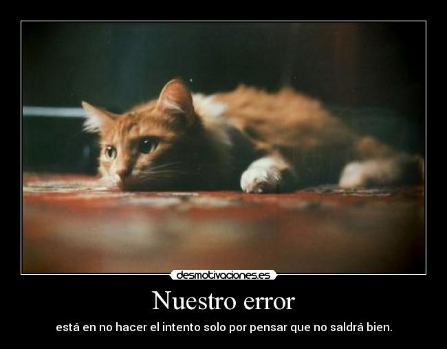 Nuestro error - 