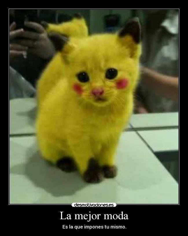 La mejor moda - Es la que impones tu mismo.