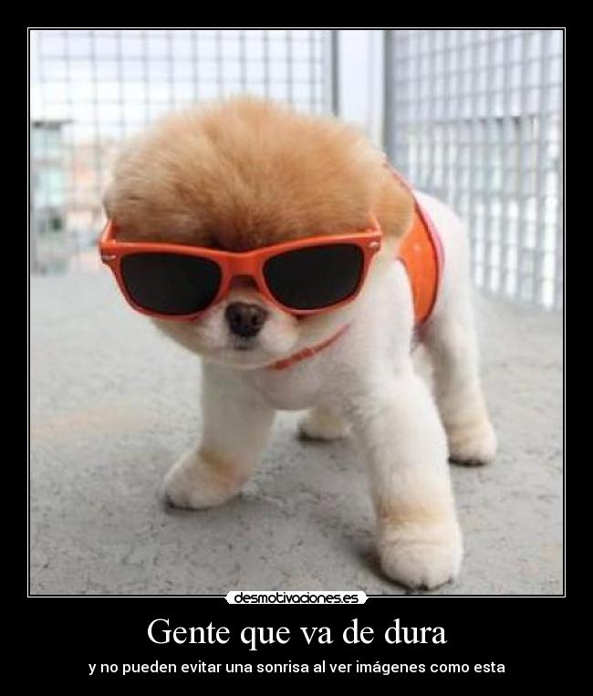 Gente que va de dura - y no pueden evitar una sonrisa al ver imágenes como esta