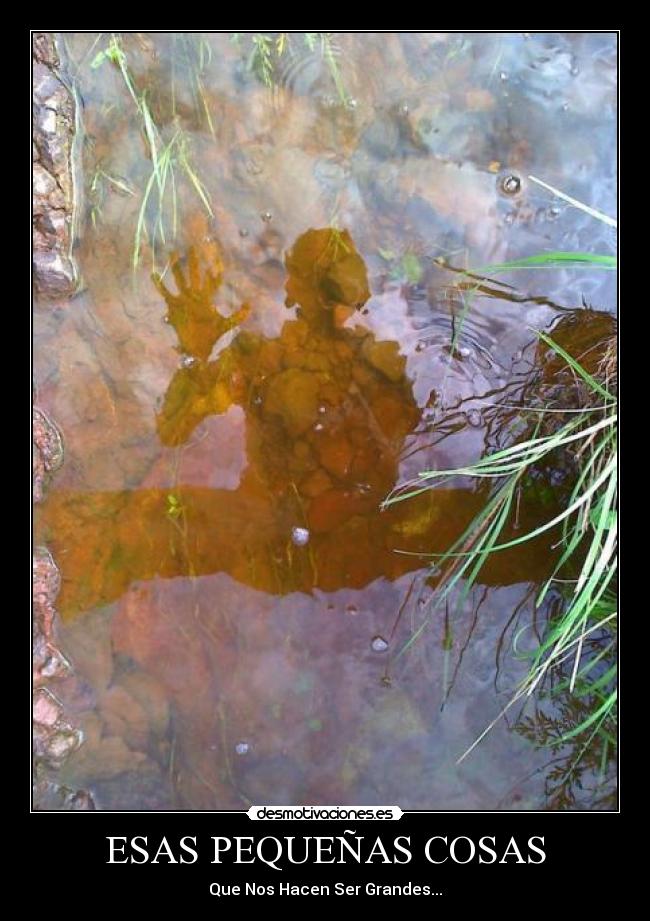 ESAS PEQUEÑAS COSAS -