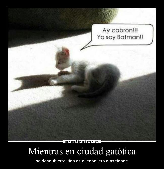 carteles gato desmotivaciones