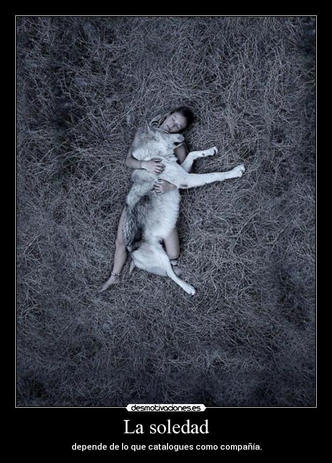La soledad - depende de lo que catalogues como compañía.