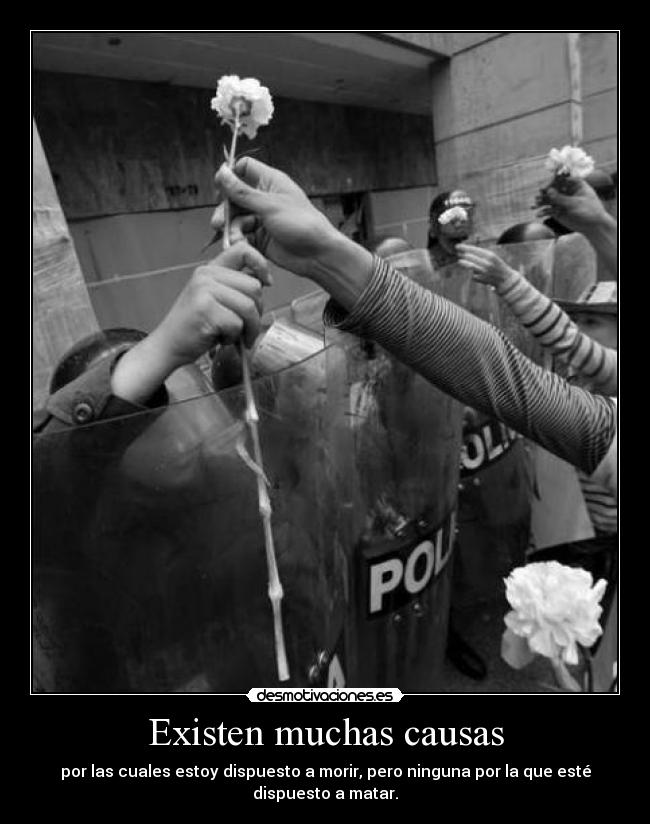 Existen muchas causas - 