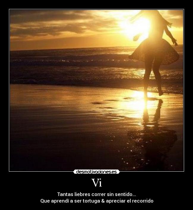 Vi - Tantas liebres correr sin sentido...
Que aprendí a ser tortuga & apreciar el recorrido