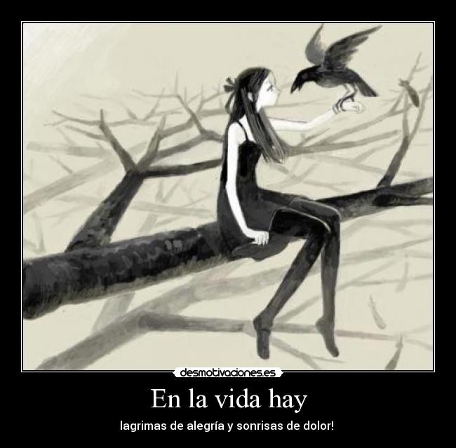 En la vida hay - 