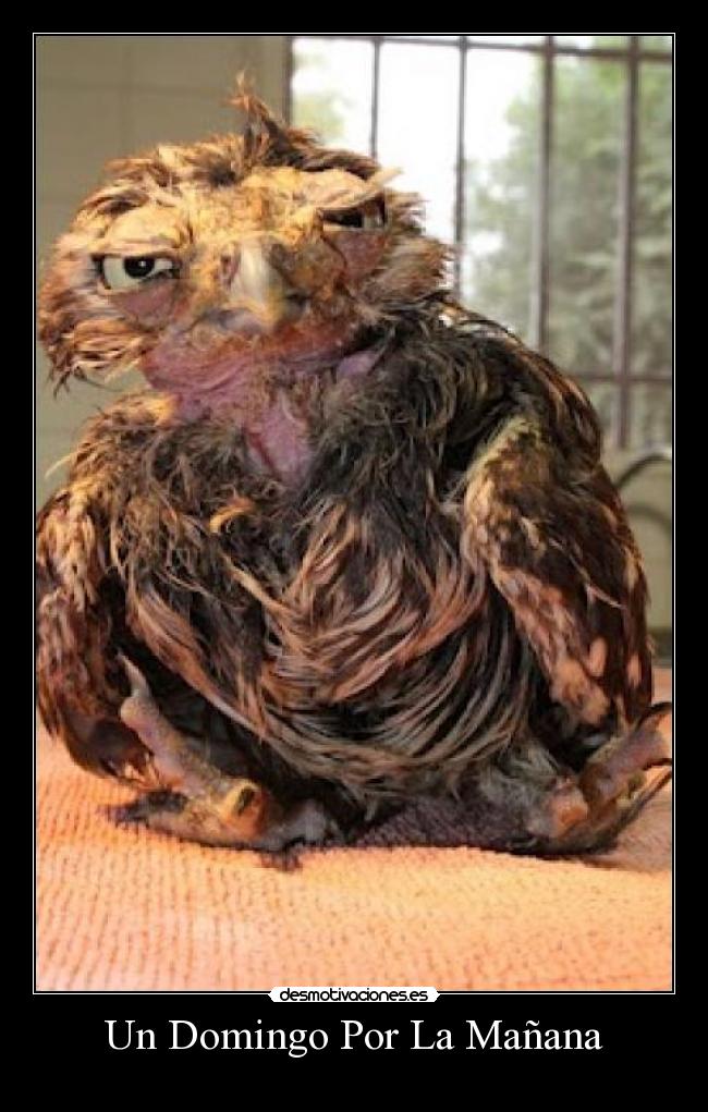 Un Domingo Por La Mañana -