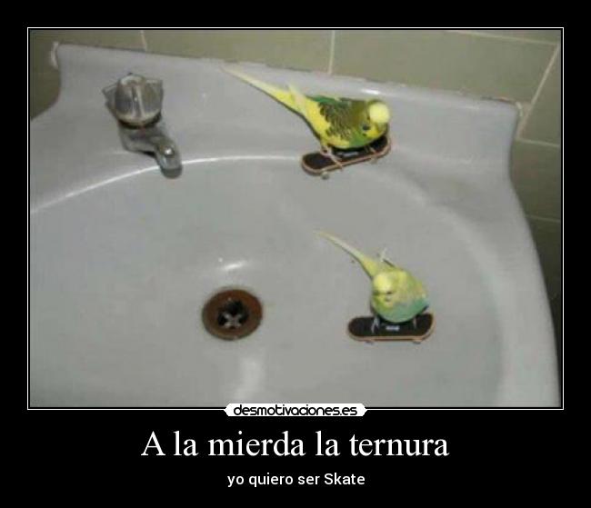 A la mierda la ternura - yo quiero ser Skate