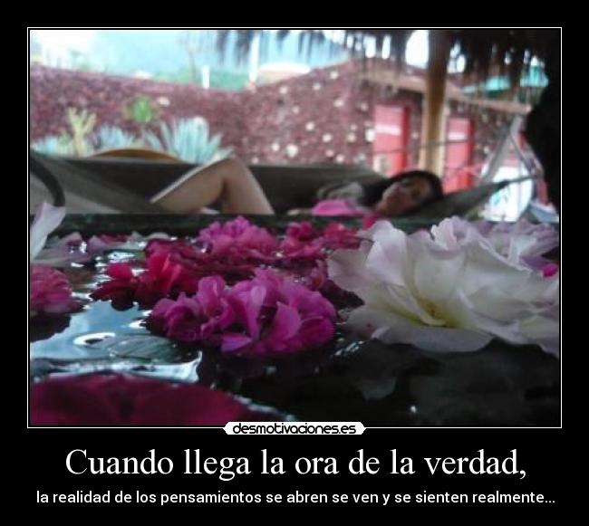 carteles mejor vivir con conciencia limpia desmotivaciones