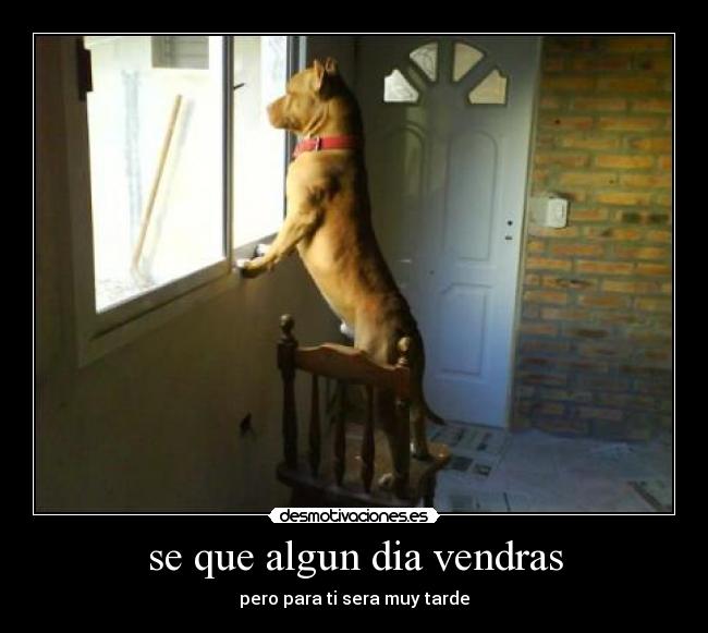 carteles frankherrera77 desmotivaciones