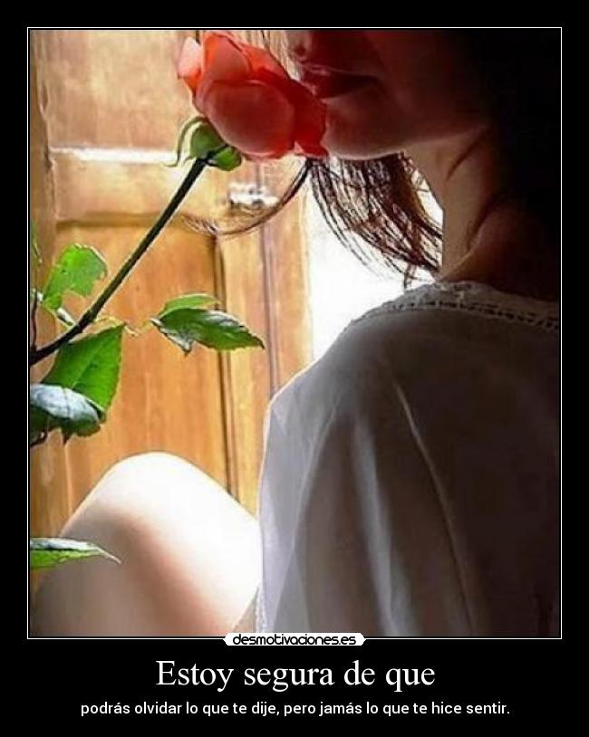 Estoy segura de que - podrás olvidar lo que te dije, pero jamás lo que te hice sentir.