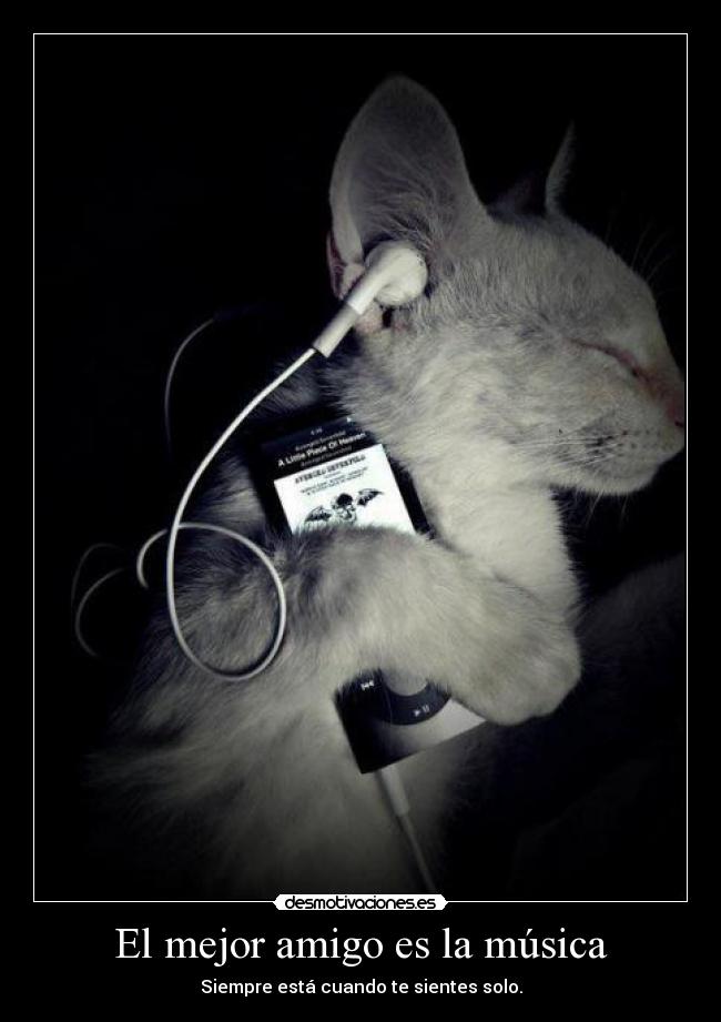 El mejor amigo es la música -
