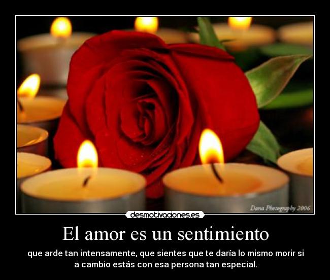 carteles amor amo mucho kakahuete1 desmotivaciones