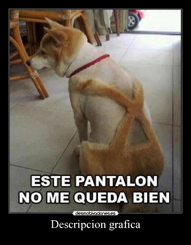 carteles angie ang desmotivaciones