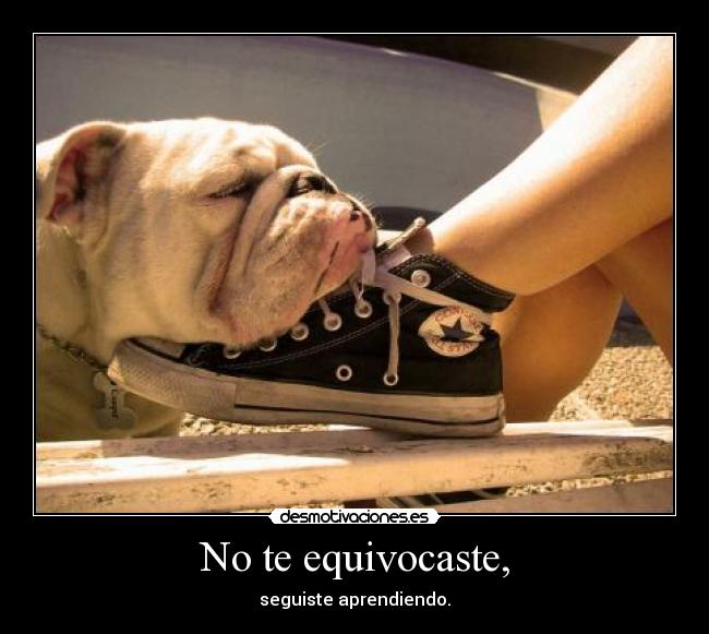 No te equivocaste, - seguiste aprendiendo.