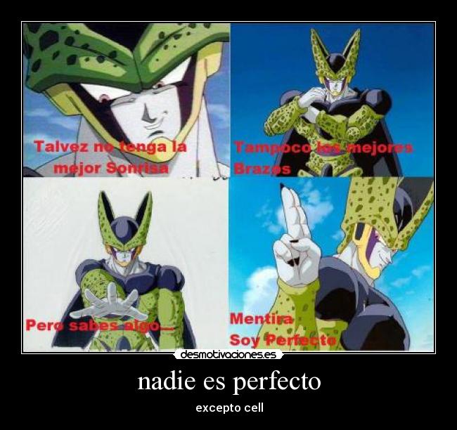 nadie es perfecto -