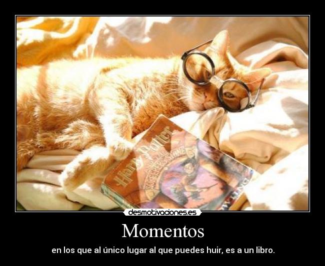 Momentos - en los que al único lugar al que puedes huir, es a un libro.