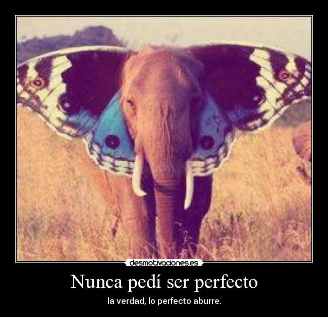 Nunca pedí ser perfecto - 