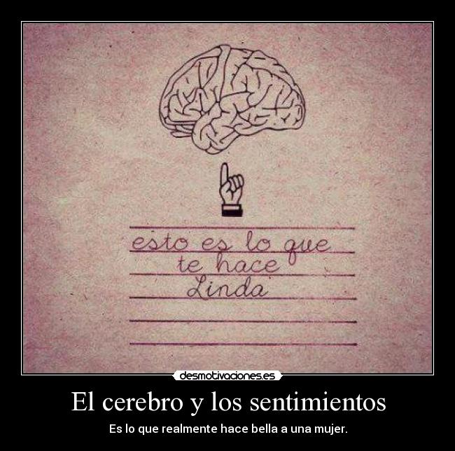 El cerebro y los sentimientos - 