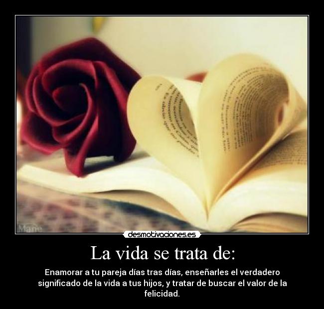 La vida se trata de: - Enamorar a tu pareja días tras días, enseñarles el verdadero
significado de la vida a tus hijos, y tratar de buscar el valor de la
felicidad.