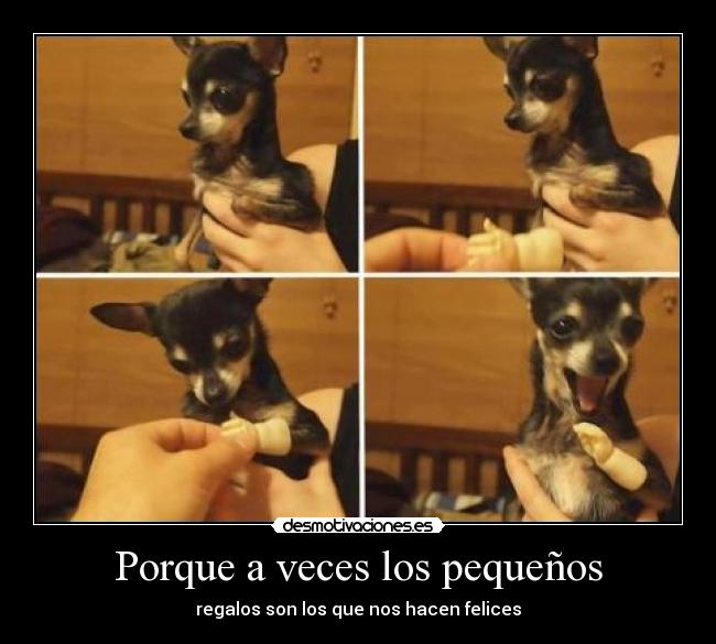 carteles cachorro perro amor amistad mano regalos felices detalles desmotivaciones