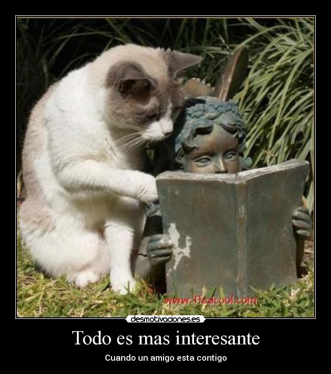 Todo es mas interesante -