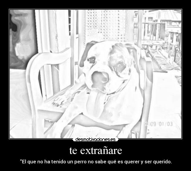 te extrañare - 