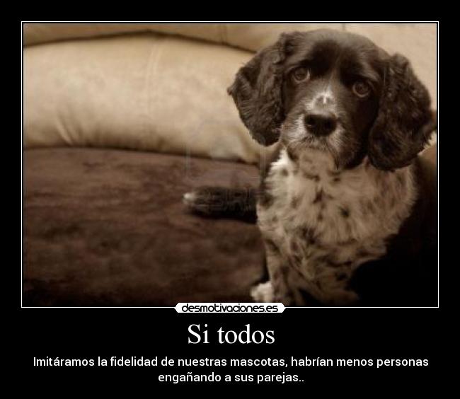 Si todos - Imitáramos la fidelidad de nuestras mascotas, habrían menos personas
engañando a sus parejas..