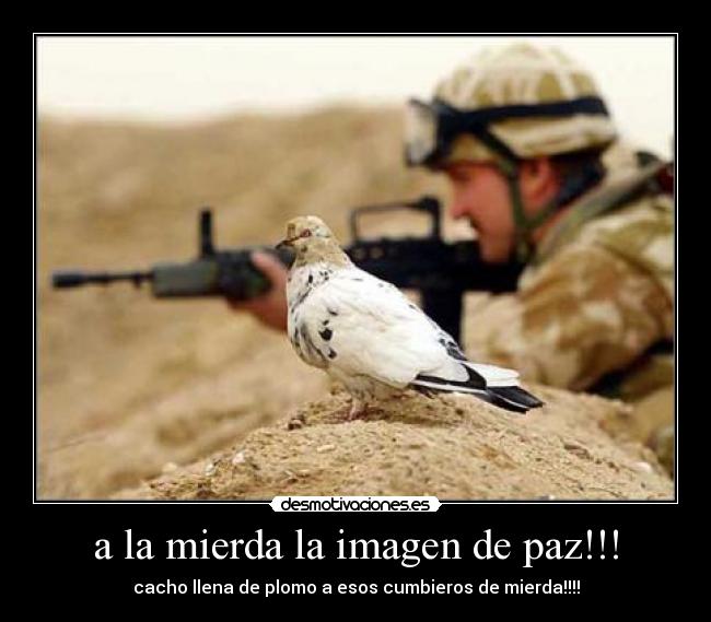 a la mierda la imagen de paz!!! - 