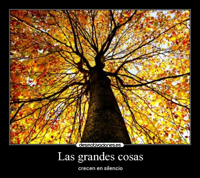 Las grandes cosas - 