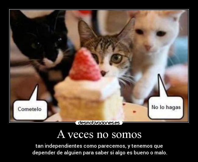 carteles veces somos desmotivaciones