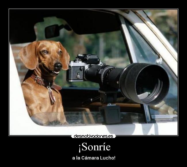 ¡Sonríe - 