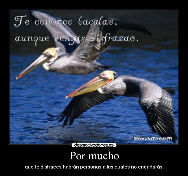 Por mucho - que te disfraces habrán personas a las cuales no engañarás.