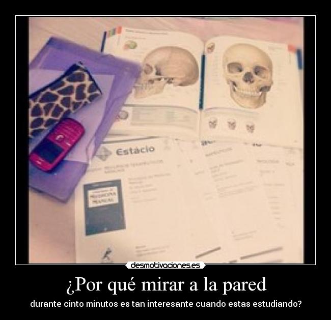 ¿Por qué mirar a la pared - durante cinto minutos es tan interesante cuando estas estudiando?