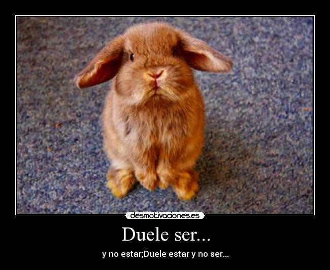 Duele ser... - 