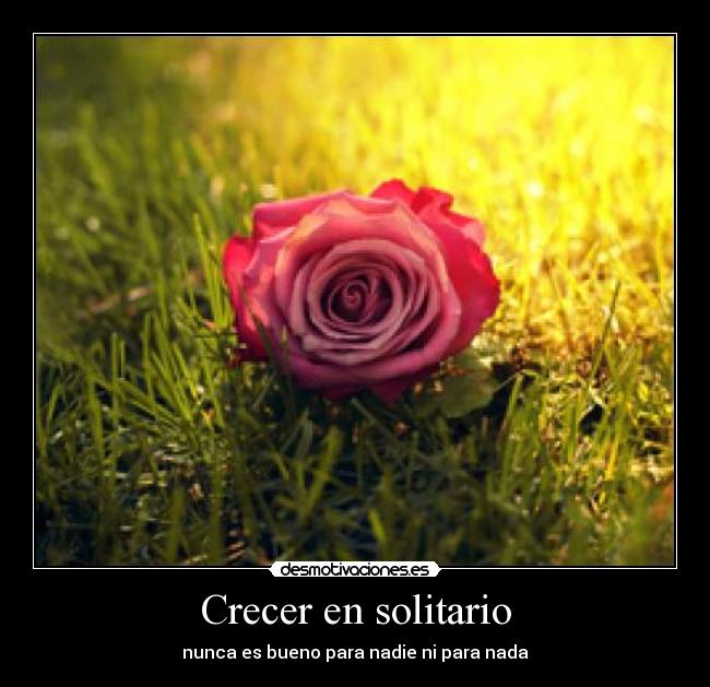 Crecer en solitario - nunca es bueno para nadie ni para nada