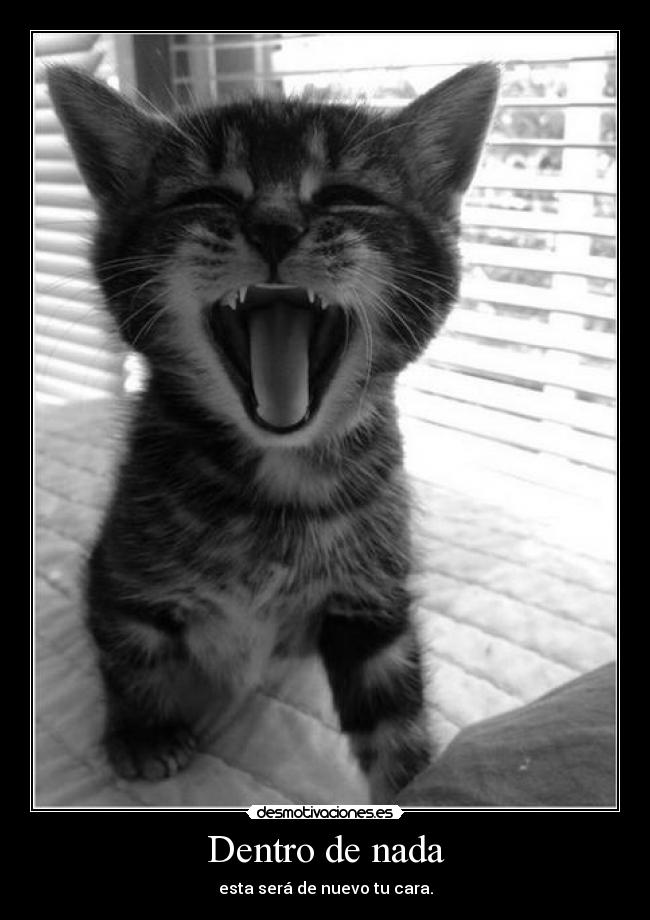 Dentro de nada -