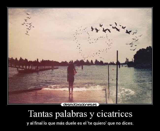 Tantas palabras y cicatrices - 