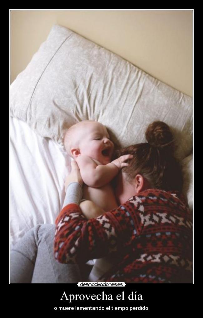 Aprovecha el día -
