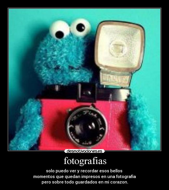 fotografias - 