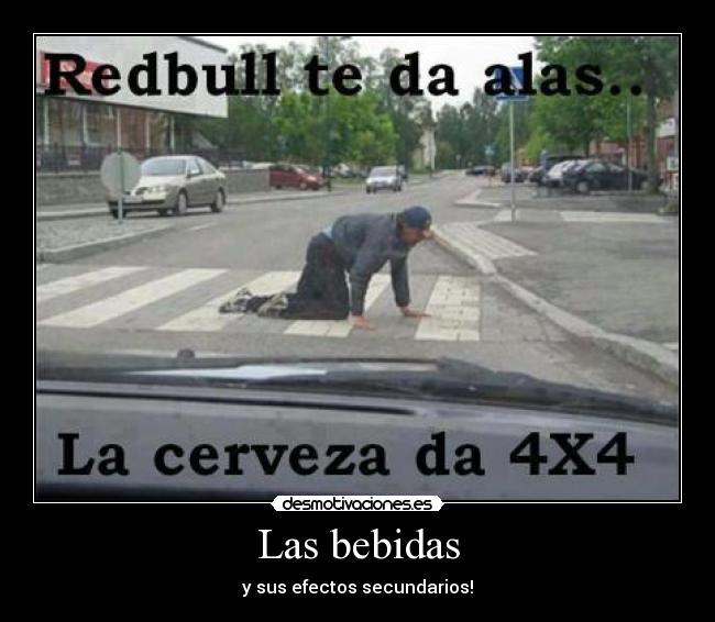 Las bebidas - 