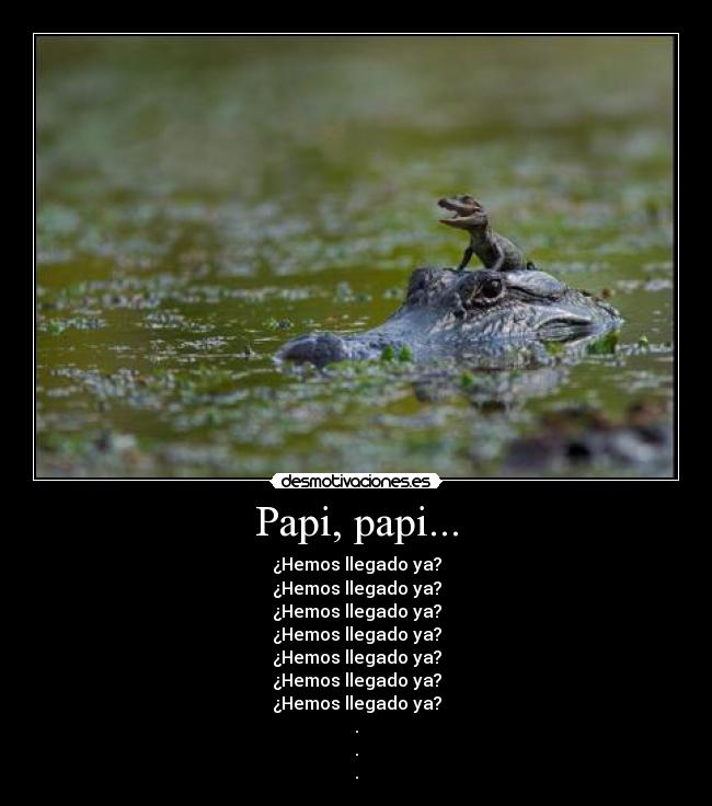 Papi, papi... -