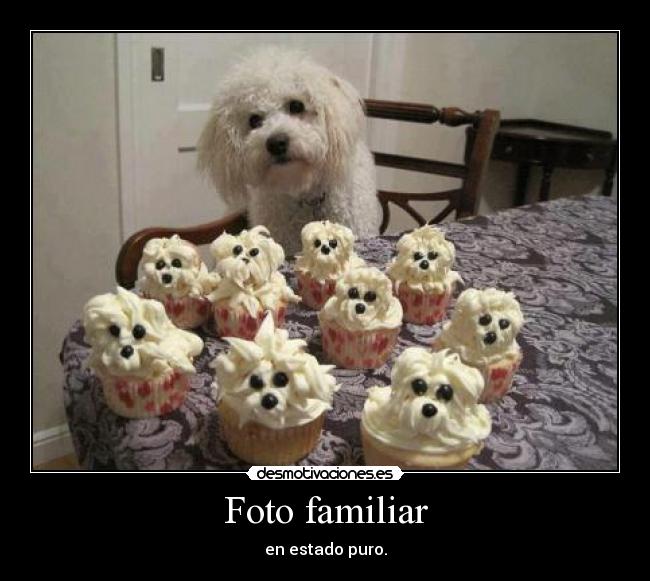 Foto familiar - en estado puro.