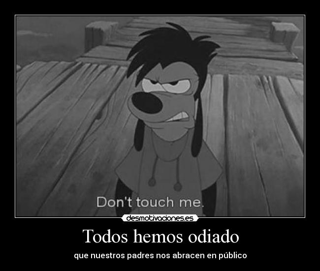 Todos hemos odiado -