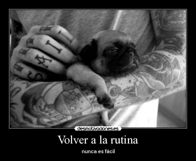 Volver a la rutina - nunca es fácil