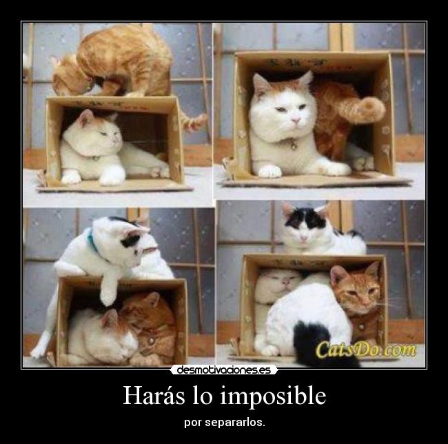 Harás lo imposible - por separarlos.