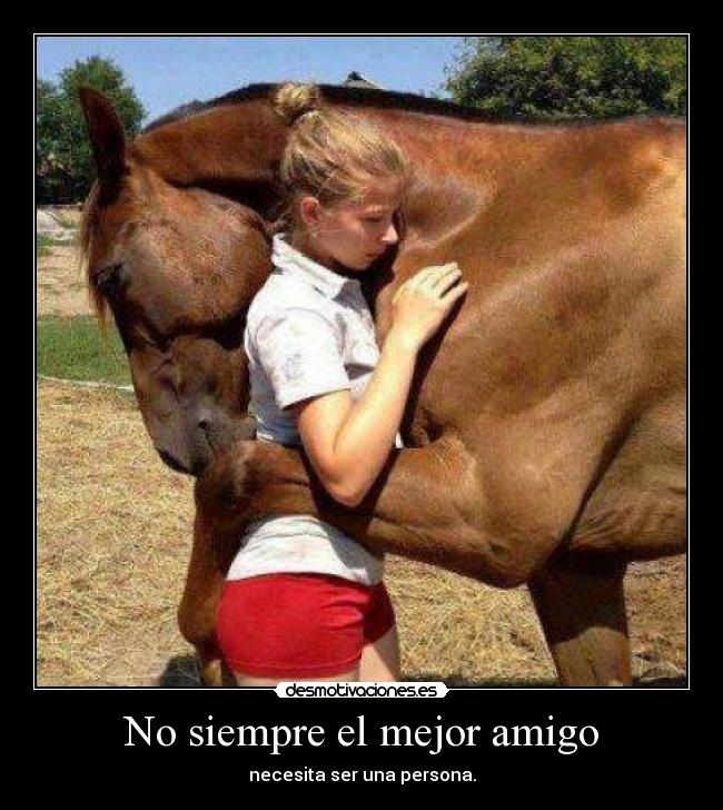 No siempre el mejor amigo - 