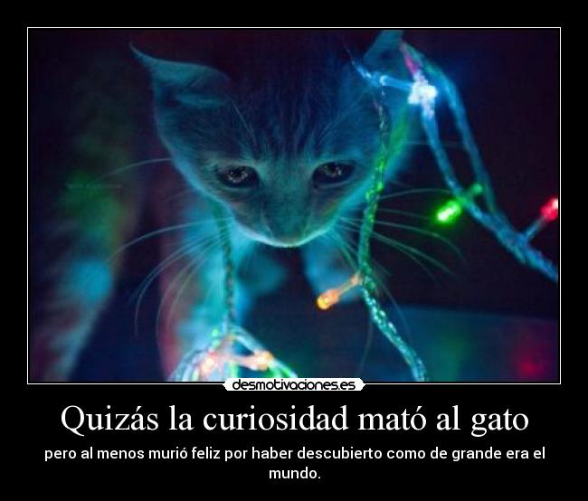 Quizás la curiosidad mató al gato - pero al menos murió feliz por haber descubierto como de grande era el mundo.