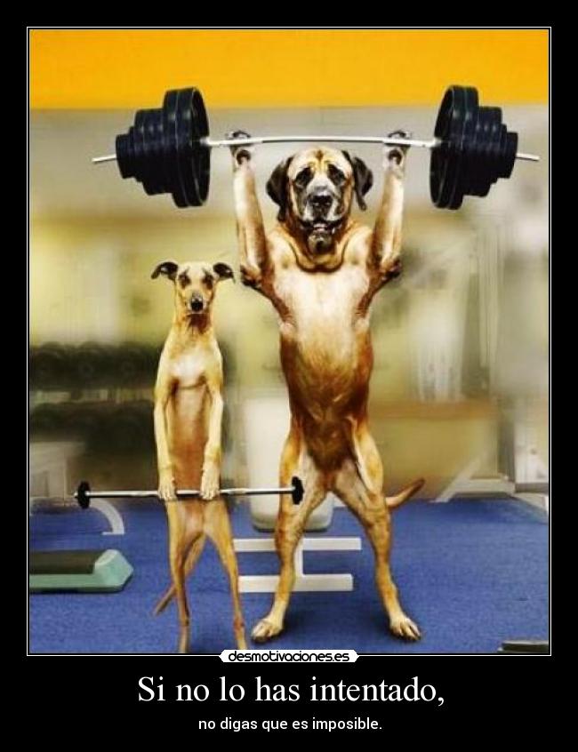 Si no lo has intentado, - no digas que es imposible.