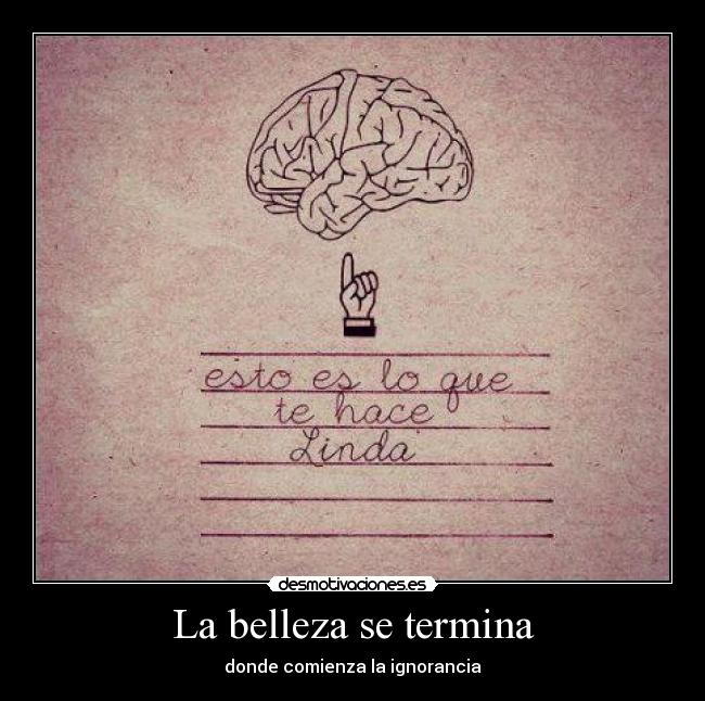 La belleza se termina - donde comienza la ignorancia